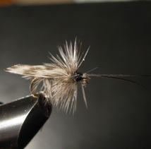 ���� ����� Dry fly  